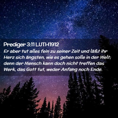 Picture 02 - Prediger 3:11 LUTH1912 - Er aber tut alles fein zu seiner Zeit und läßt - Bible Verse Picture