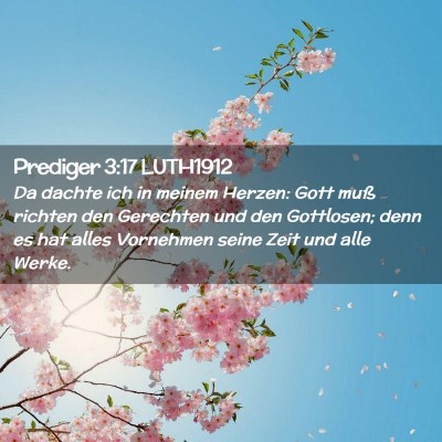 Picture 02 - Prediger 3:17 LUTH1912 - Da dachte ich in meinem Herzen: Gott muß richten - Bible Verse Picture