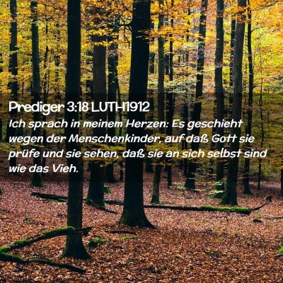 Picture 02 - Prediger 3:18 LUTH1912 - Ich sprach in meinem Herzen: Es geschieht wegen - Bible Verse Picture