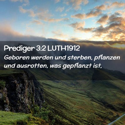 Picture 02 - Prediger 3:2 LUTH1912 - Geboren werden und sterben, pflanzen und - Bible Verse Picture