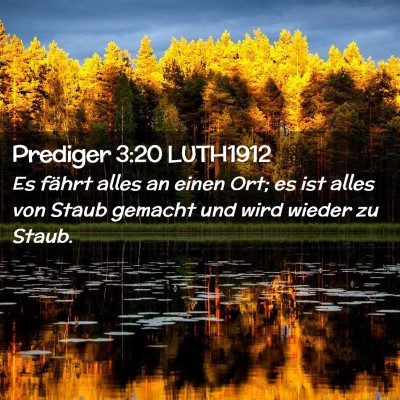 Picture 02 - Prediger 3:20 LUTH1912 - Es fährt alles an einen Ort; es ist alles von - Bible Verse Picture