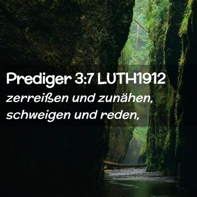 Picture 02 - Prediger 3:7 LUTH1912 - zerreißen und zunähen, schweigen und - Bible Verse Picture