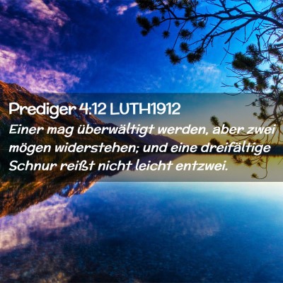 Picture 02 - Prediger 4:12 LUTH1912 - Einer mag überwältigt werden, aber zwei mögen - Bible Verse Picture