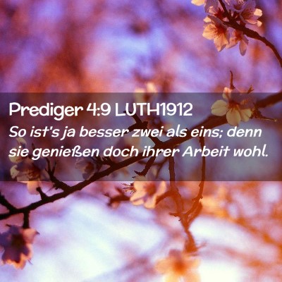 Picture 02 - Prediger 4:9 LUTH1912 - So ist's ja besser zwei als eins; denn sie - Bible Verse Picture
