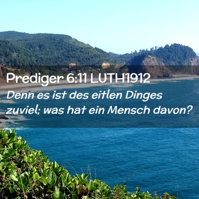 Picture 02 - Prediger 6:11 LUTH1912 - Denn es ist des eitlen Dinges zuviel; was hat ein - Bible Verse Picture