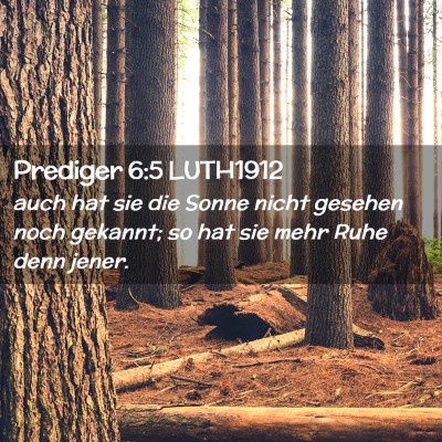 Picture 02 - Prediger 6:5 LUTH1912 - auch hat sie die Sonne nicht gesehen noch - Bible Verse Picture