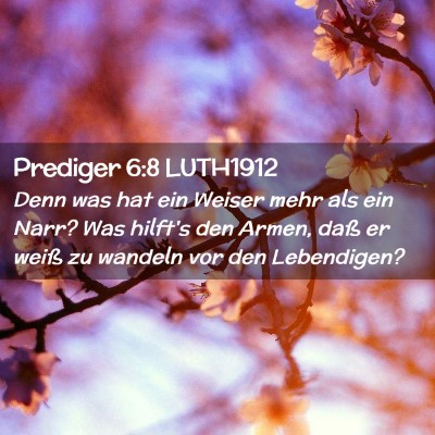 Picture 02 - Prediger 6:8 LUTH1912 - Denn was hat ein Weiser mehr als ein Narr? Was - Bible Verse Picture