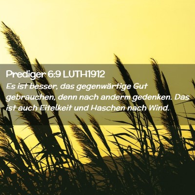 Picture 02 - Prediger 6:9 LUTH1912 - Es ist besser, das gegenwärtige Gut gebrauchen, - Bible Verse Picture