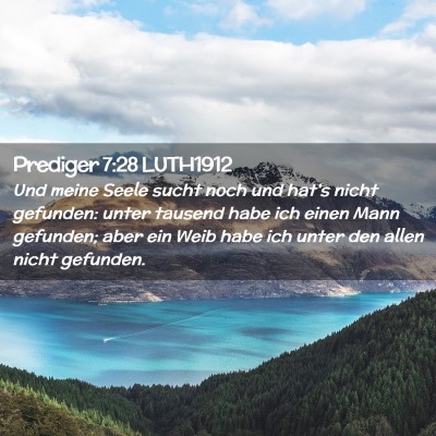 Picture 02 - Prediger 7:28 LUTH1912 - Und meine Seele sucht noch und hat's nicht - Bible Verse Picture