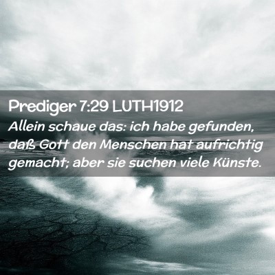 Picture 02 - Prediger 7:29 LUTH1912 - Allein schaue das: ich habe gefunden, daß Gott - Bible Verse Picture