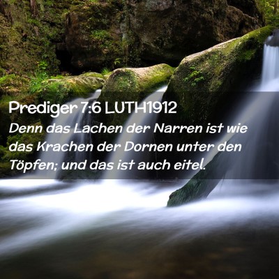 Picture 02 - Prediger 7:6 LUTH1912 - Denn das Lachen der Narren ist wie das Krachen - Bible Verse Picture