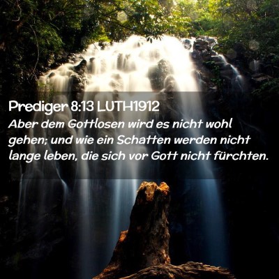 Picture 02 - Prediger 8:13 LUTH1912 - Aber dem Gottlosen wird es nicht wohl gehen; und - Bible Verse Picture