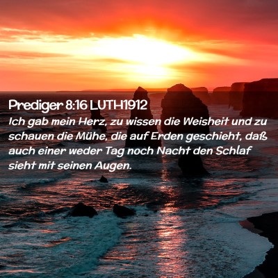 Picture 02 - Prediger 8:16 LUTH1912 - Ich gab mein Herz, zu wissen die Weisheit und zu - Bible Verse Picture