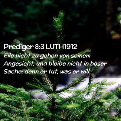 Picture 02 - Prediger 8:3 LUTH1912 - Eile nicht zu gehen von seinem Angesicht, und - Bible Verse Picture