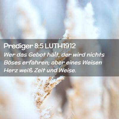 Picture 02 - Prediger 8:5 LUTH1912 - Wer das Gebot hält, der wird nichts Böses - Bible Verse Picture
