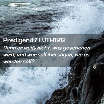 Picture 02 - Prediger 8:7 LUTH1912 - Denn er weiß nicht, was geschehen wird; und wer - Bible Verse Picture