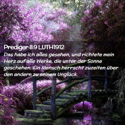 Picture 02 - Prediger 8:9 LUTH1912 - Das habe ich alles gesehen, und richtete mein - Bible Verse Picture