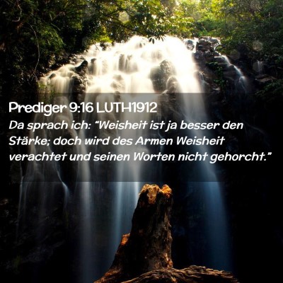 Picture 02 - Prediger 9:16 LUTH1912 - Da sprach ich: “Weisheit ist ja besser den - Bible Verse Picture
