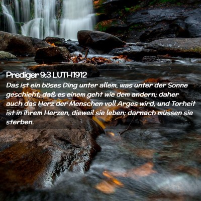 Picture 02 - Prediger 9:3 LUTH1912 - Das ist ein böses Ding unter allem, was unter - Bible Verse Picture