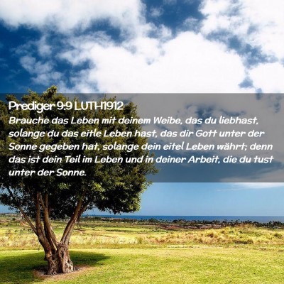 Picture 02 - Prediger 9:9 LUTH1912 - Brauche das Leben mit deinem Weibe, das du - Bible Verse Picture