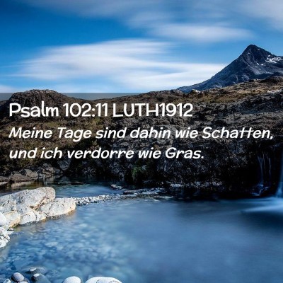 Picture 02 - Psalm 102:11 LUTH1912 - Meine Tage sind dahin wie Schatten, und ich - Bible Verse Picture