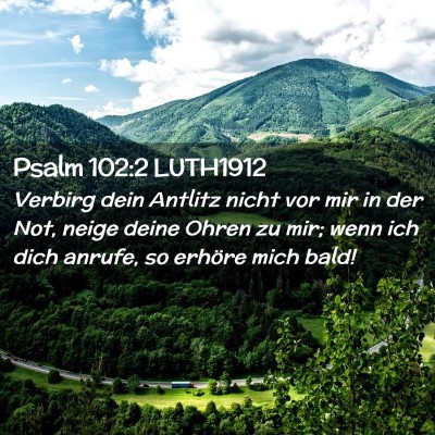 Picture 02 - Psalm 102:2 LUTH1912 - Verbirg dein Antlitz nicht vor mir in der Not, - Bible Verse Picture