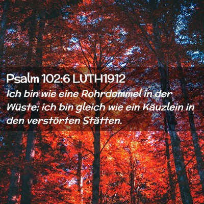 Picture 02 - Psalm 102:6 LUTH1912 - Ich bin wie eine Rohrdommel in der Wüste; ich - Bible Verse Picture