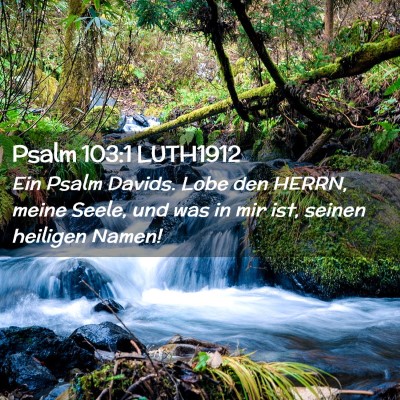 Picture 02 - Psalm 103:1 LUTH1912 - Ein Psalm Davids. Lobe den HERRN, meine Seele, - Bible Verse Picture