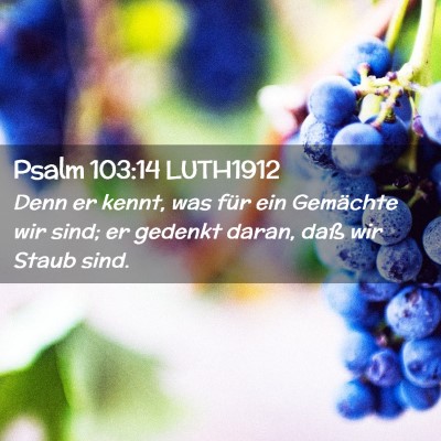 Picture 02 - Psalm 103:14 LUTH1912 - Denn er kennt, was für ein Gemächte wir sind; - Bible Verse Picture