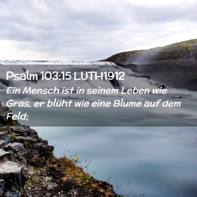 Picture 02 - Psalm 103:15 LUTH1912 - Ein Mensch ist in seinem Leben wie Gras, er - Bible Verse Picture