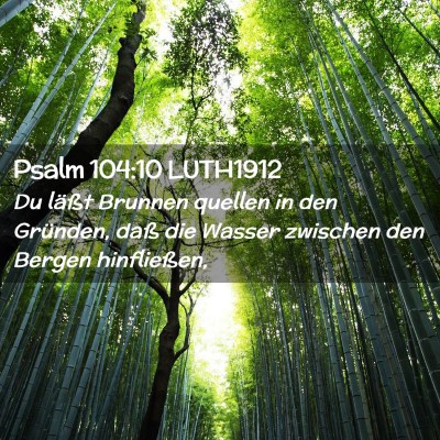Picture 02 - Psalm 104:10 LUTH1912 - Du läßt Brunnen quellen in den Gründen, daß - Bible Verse Picture