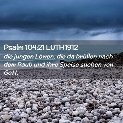 Picture 02 - Psalm 104:21 LUTH1912 - die jungen Löwen, die da brüllen nach dem Raub - Bible Verse Picture