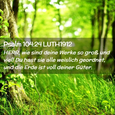 Picture 02 - Psalm 104:24 LUTH1912 - HERR, wie sind deine Werke so groß und viel! Du - Bible Verse Picture