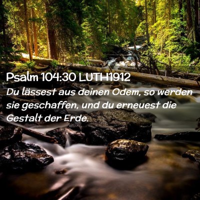 Picture 02 - Psalm 104:30 LUTH1912 - Du lässest aus deinen Odem, so werden sie - Bible Verse Picture