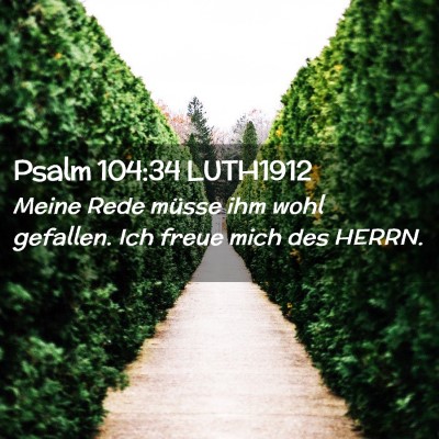 Picture 02 - Psalm 104:34 LUTH1912 - Meine Rede müsse ihm wohl gefallen. Ich freue - Bible Verse Picture