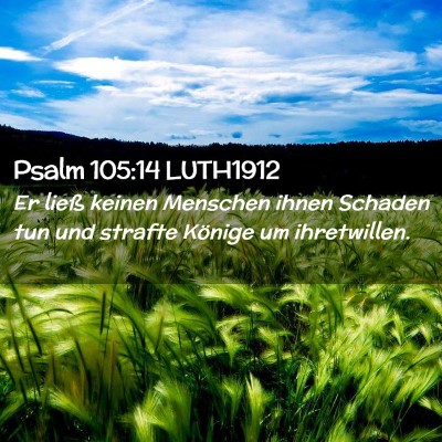 Picture 02 - Psalm 105:14 LUTH1912 - Er ließ keinen Menschen ihnen Schaden tun und - Bible Verse Picture
