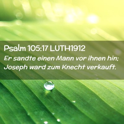 Picture 02 - Psalm 105:17 LUTH1912 - Er sandte einen Mann vor ihnen hin; Joseph ward - Bible Verse Picture