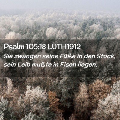 Picture 02 - Psalm 105:18 LUTH1912 - Sie zwangen seine Füße in den Stock, sein Leib - Bible Verse Picture