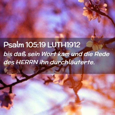 Picture 02 - Psalm 105:19 LUTH1912 - bis daß sein Wort kam und die Rede des HERRN ihn - Bible Verse Picture