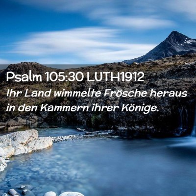 Picture 02 - Psalm 105:30 LUTH1912 - Ihr Land wimmelte Frösche heraus in den Kammern - Bible Verse Picture