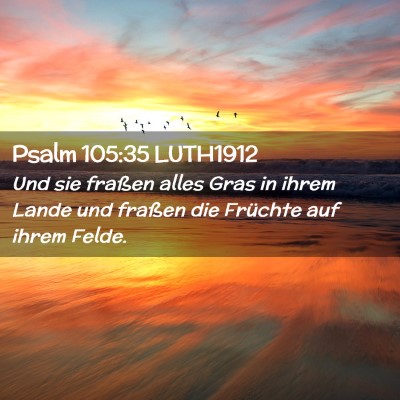 Picture 02 - Psalm 105:35 LUTH1912 - Und sie fraßen alles Gras in ihrem Lande und - Bible Verse Picture