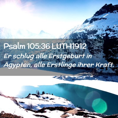 Picture 02 - Psalm 105:36 LUTH1912 - Er schlug alle Erstgeburt in Ägypten, alle - Bible Verse Picture