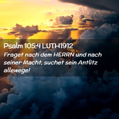 Picture 02 - Psalm 105:4 LUTH1912 - Fraget nach dem HERRN und nach seiner Macht, - Bible Verse Picture