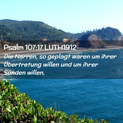 Picture 02 - Psalm 107:17 LUTH1912 - Die Narren, so geplagt waren um ihrer - Bible Verse Picture