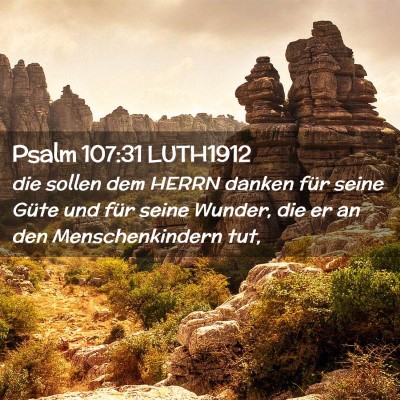 Picture 02 - Psalm 107:31 LUTH1912 - die sollen dem HERRN danken für seine Güte und - Bible Verse Picture