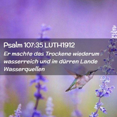 Picture 02 - Psalm 107:35 LUTH1912 - Er machte das Trockene wiederum wasserreich und - Bible Verse Picture