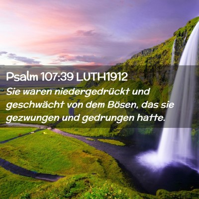 Picture 02 - Psalm 107:39 LUTH1912 - Sie waren niedergedrückt und geschwächt von dem - Bible Verse Picture