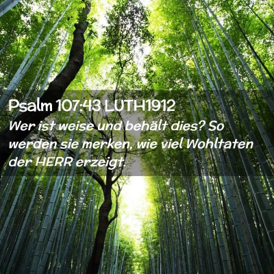Picture 02 - Psalm 107:43 LUTH1912 - Wer ist weise und behält dies? So werden sie - Bible Verse Picture