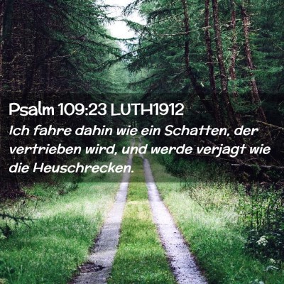 Picture 02 - Psalm 109:23 LUTH1912 - Ich fahre dahin wie ein Schatten, der vertrieben - Bible Verse Picture
