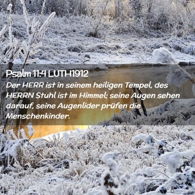 Picture 02 - Psalm 11:4 LUTH1912 - Der HERR ist in seinem heiligen Tempel, des HERRN - Bible Verse Picture